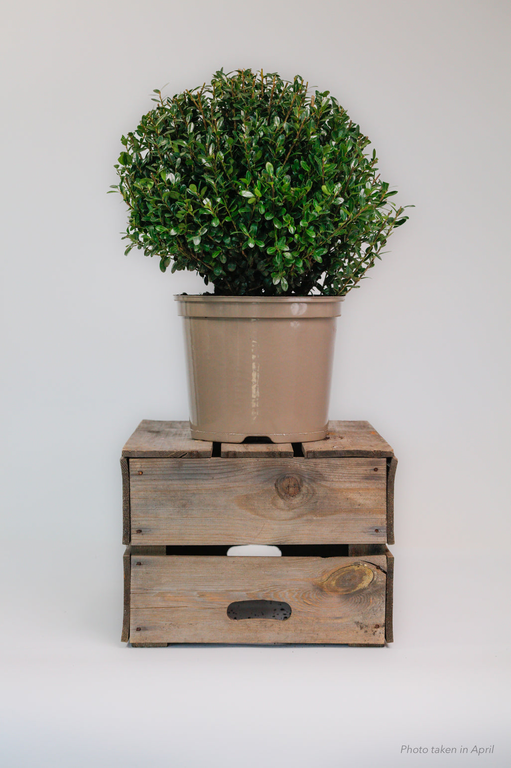 products/SotoProductShootLowQ-1907.jpg